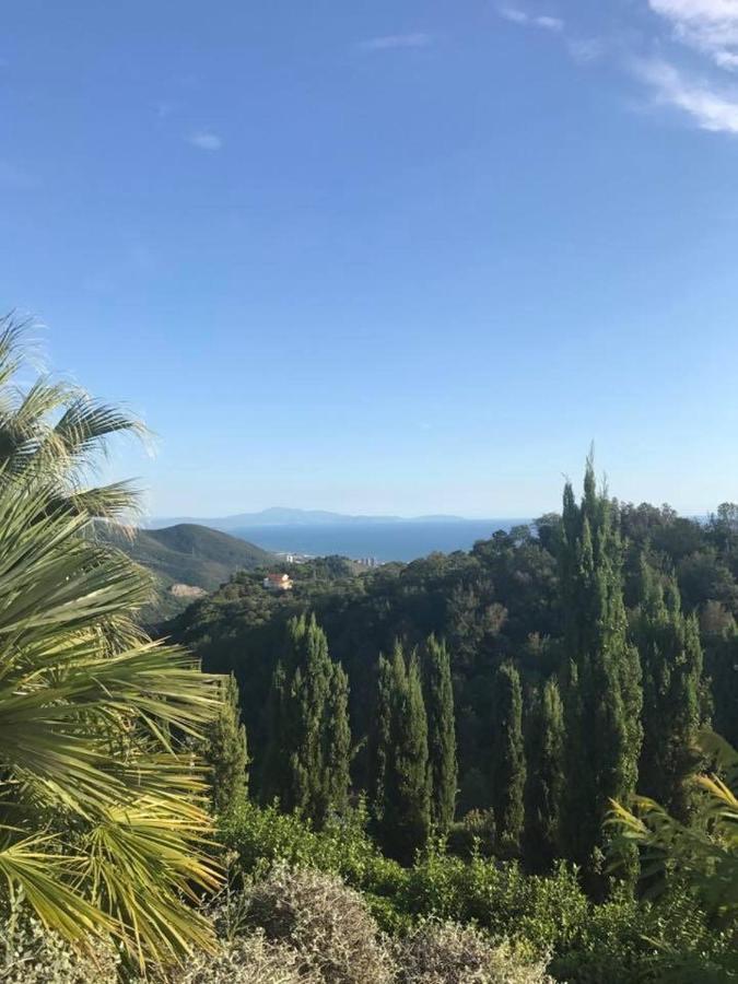 La Riggiola Bed & Breakfast Salerno Dış mekan fotoğraf