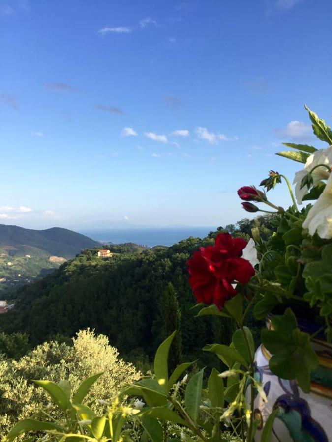 La Riggiola Bed & Breakfast Salerno Dış mekan fotoğraf