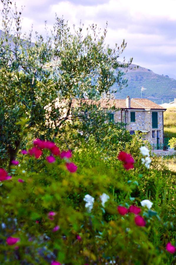 La Riggiola Bed & Breakfast Salerno Dış mekan fotoğraf