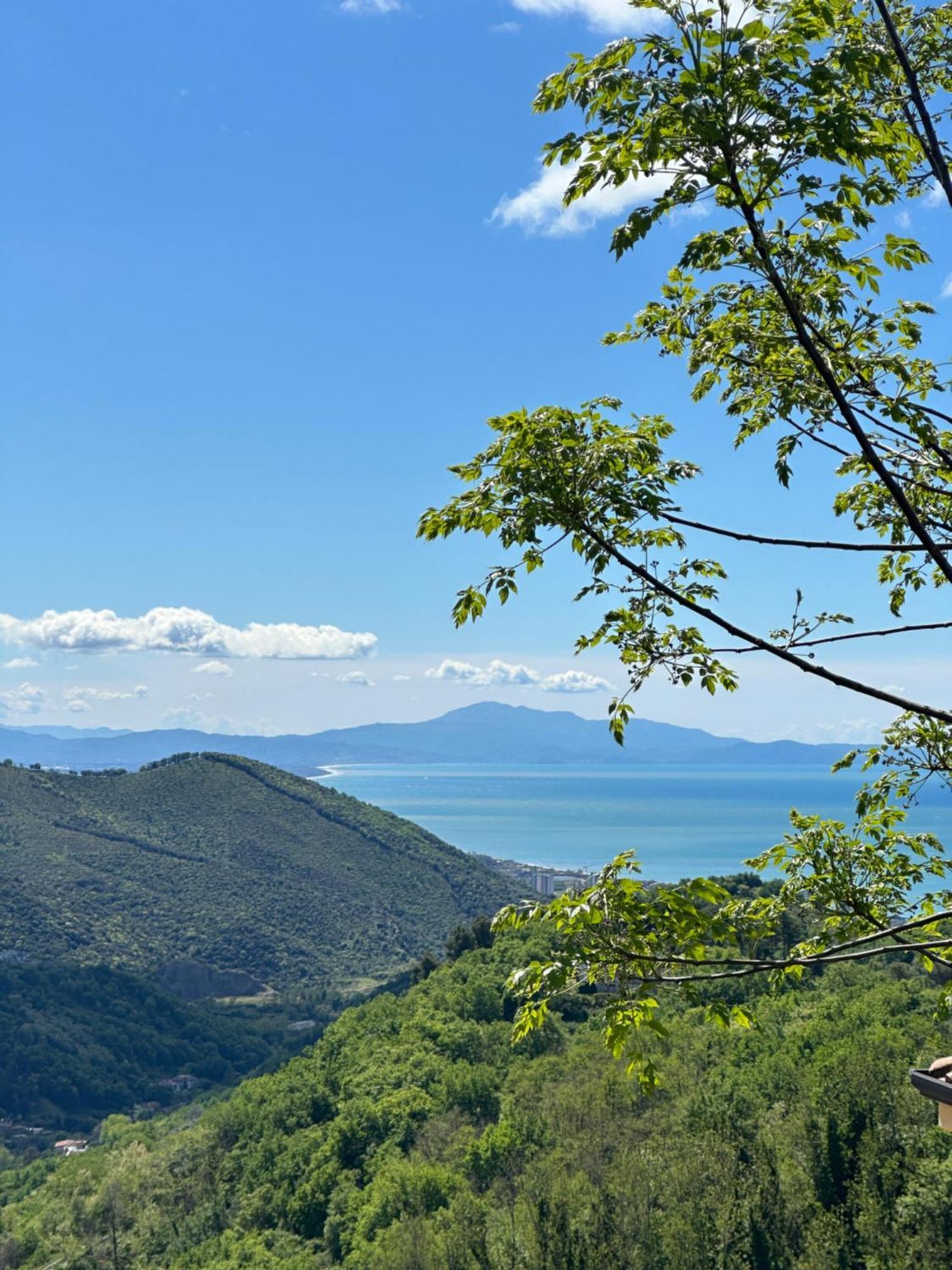 La Riggiola Bed & Breakfast Salerno Dış mekan fotoğraf